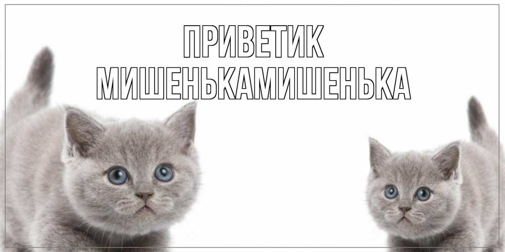 Открытка  с именем. МишенькаМишенька, приветик  