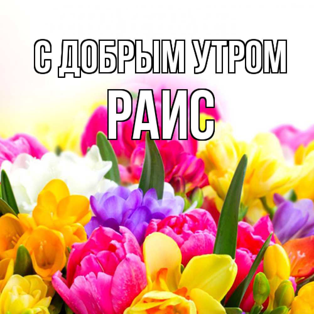 Открытка  с именем. Раис, С добрым утром  