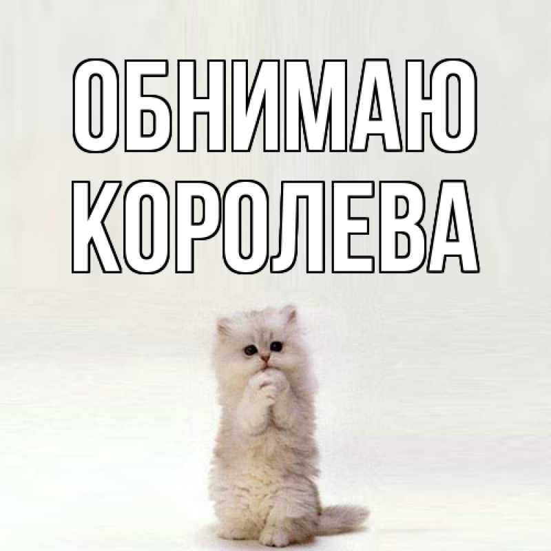 Картинка Обнимаю, Королева