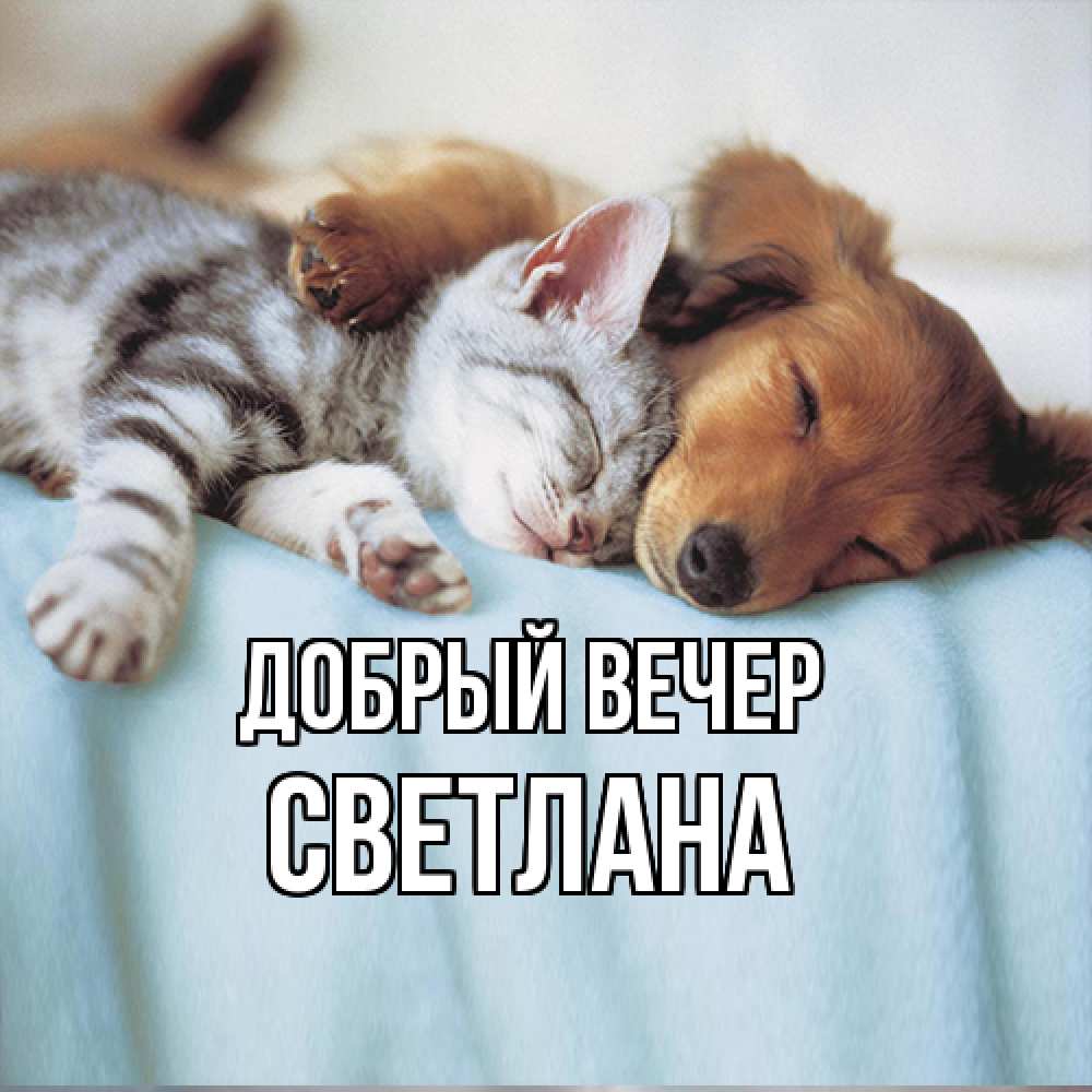 Открытка  с именем. Светлана, Добрый вечер  