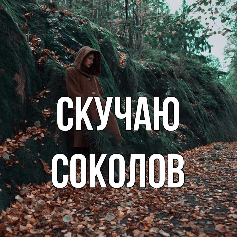 Открытка  с именем. Соколов, Скучаю  