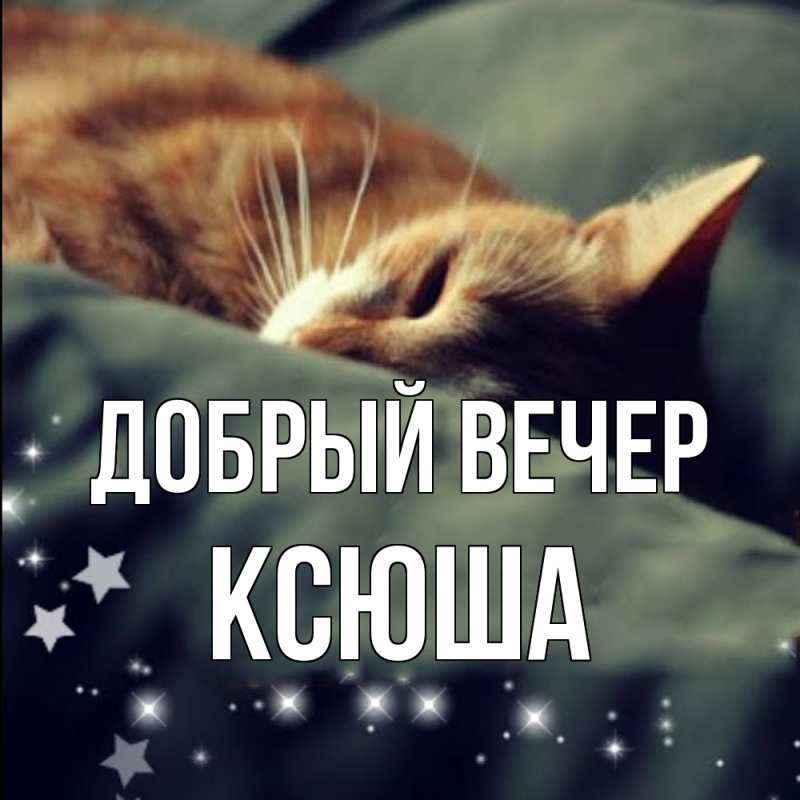 Картинка Добрый вечер, Ксюша