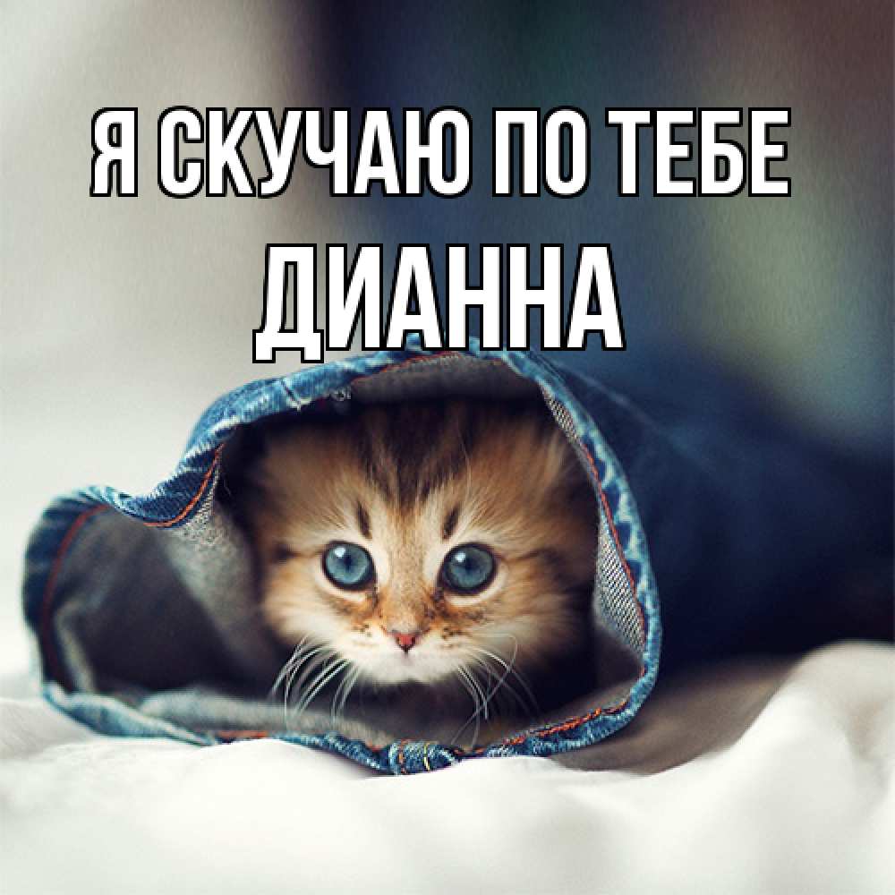 Открытка  с именем. Дианна, Я скучаю по тебе  