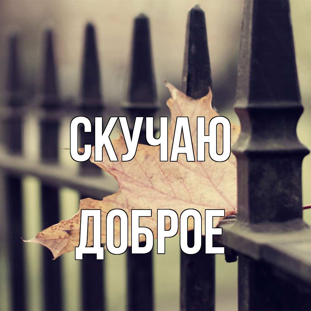 Открытка  с именем. Доброе, Скучаю  