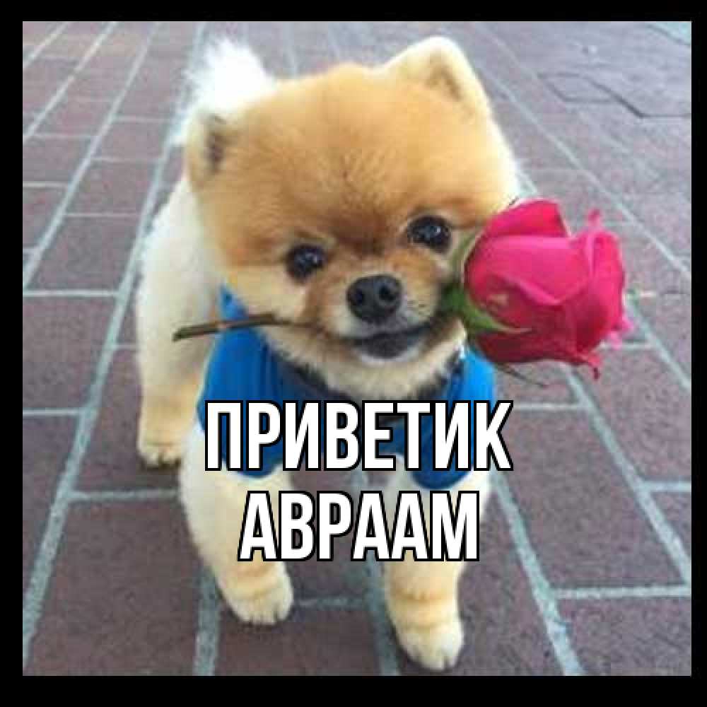 Открытка  с именем. Авраам, приветик  