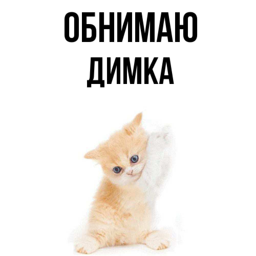 Открытка  с именем. ДИМКА, Обнимаю  