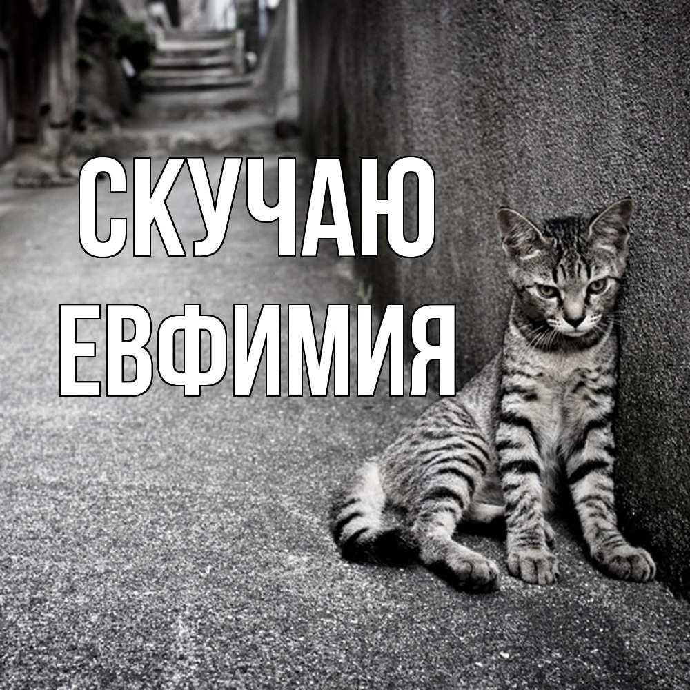 Открытка  с именем. Евфимия, Скучаю  
