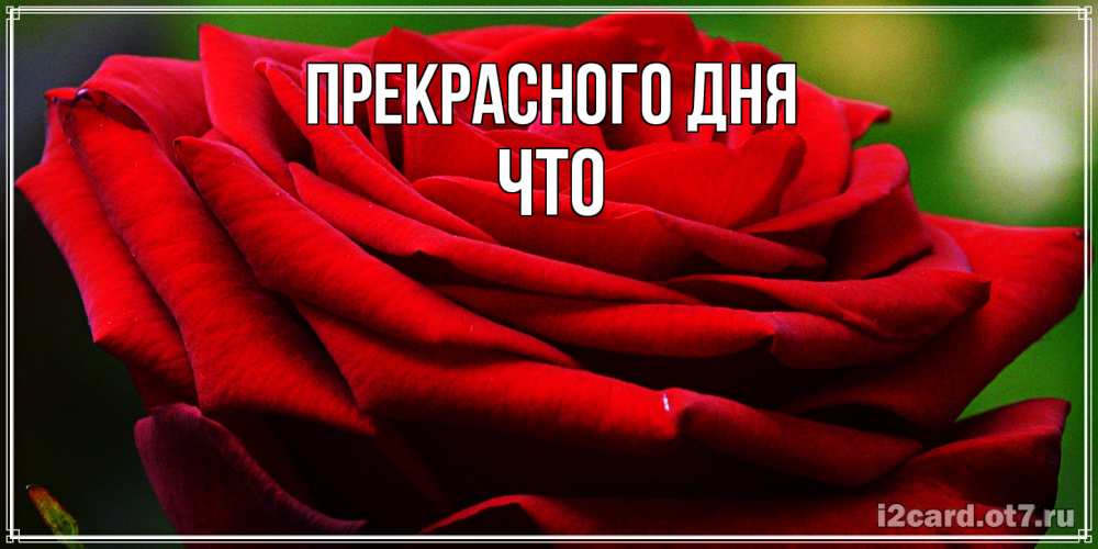 Открытка  с именем. Что, Прекрасного дня  