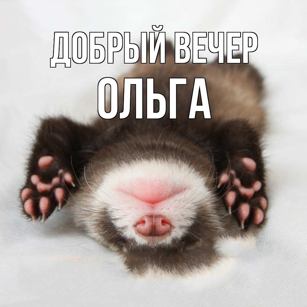 Открытка  с именем. Ольга, Добрый вечер  