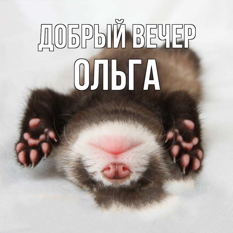 Картинка Добрый вечер, Ольга