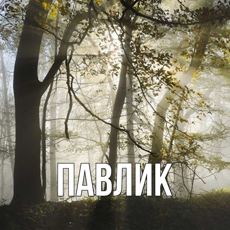 Картинка  с именем , Павлик