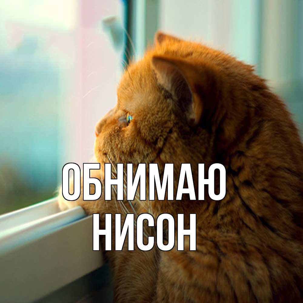 Открытка  с именем. Нисон, Обнимаю  