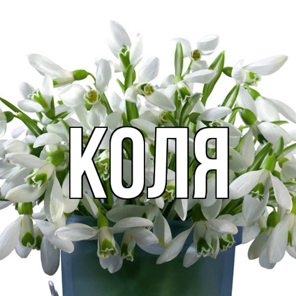 Открытка  с именем. коля, Главная  