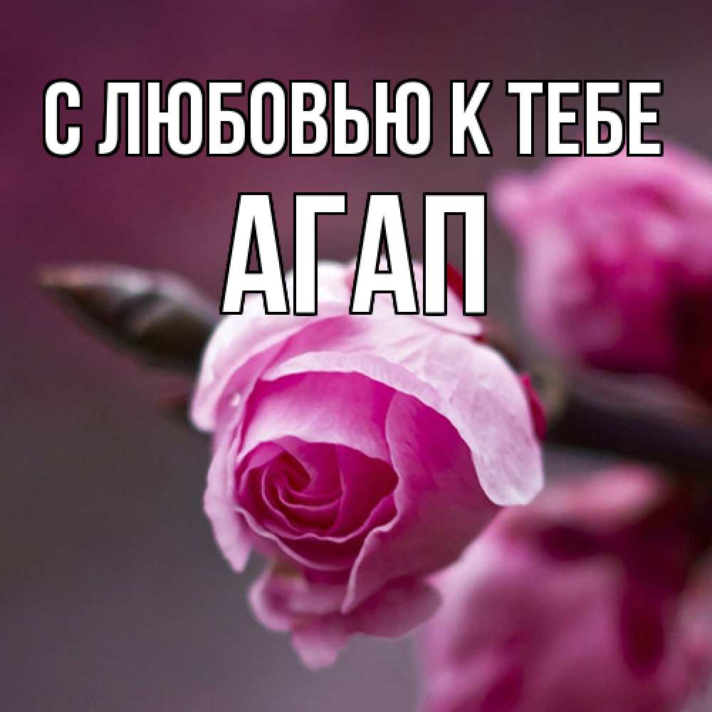 Открытка  с именем. Агап, С любовью к тебе  
