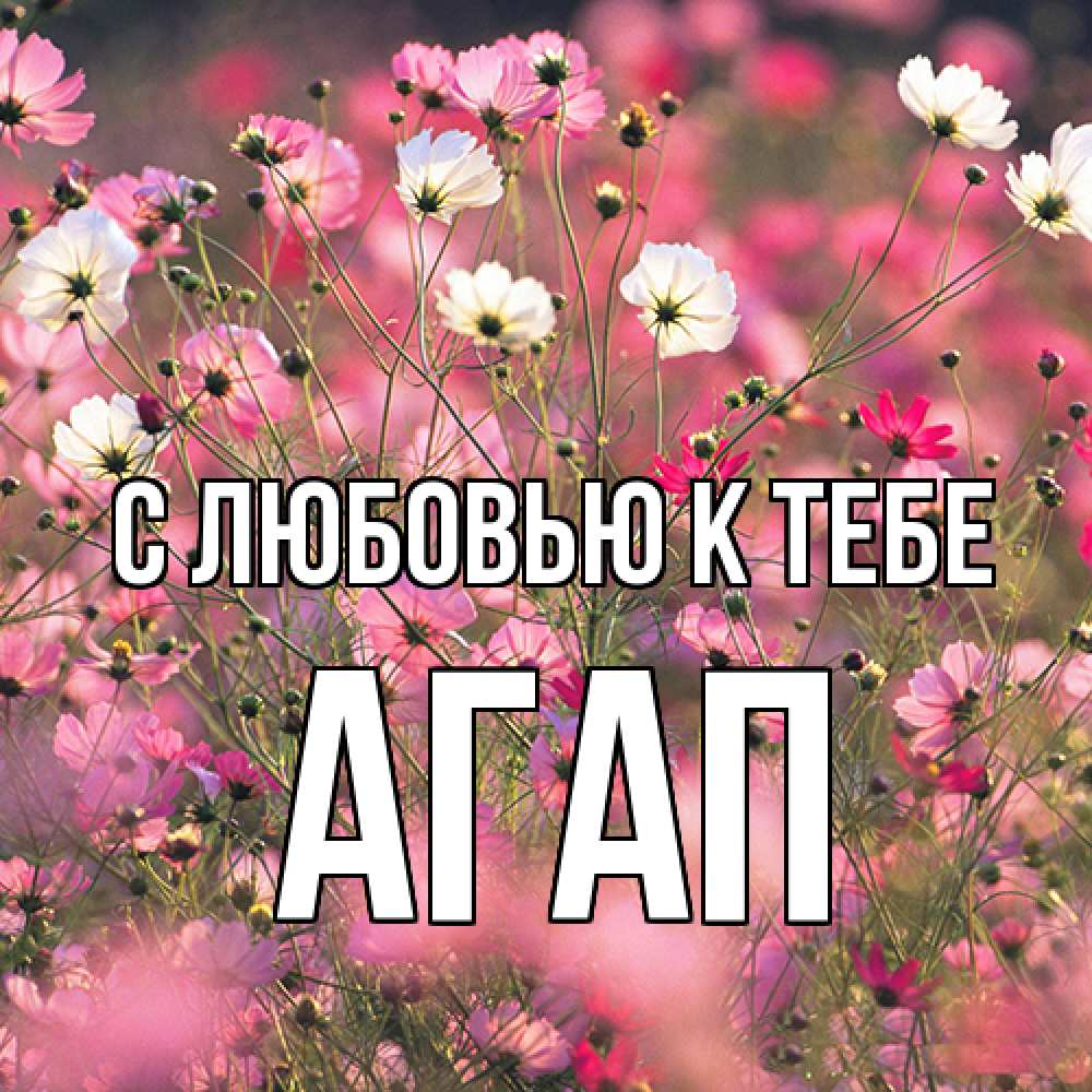 Открытка  с именем. Агап, С любовью к тебе  
