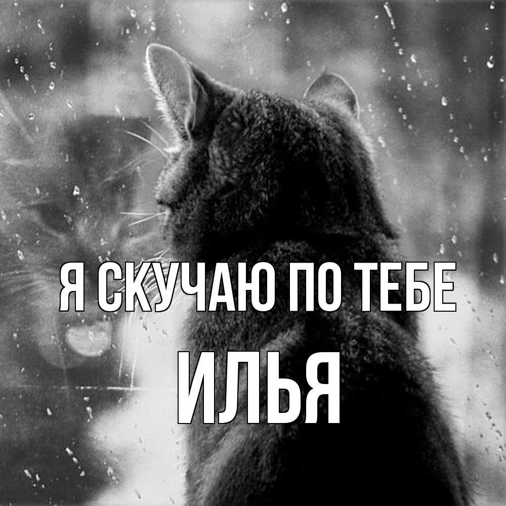 Открытка  с именем. Илья, Я скучаю по тебе  