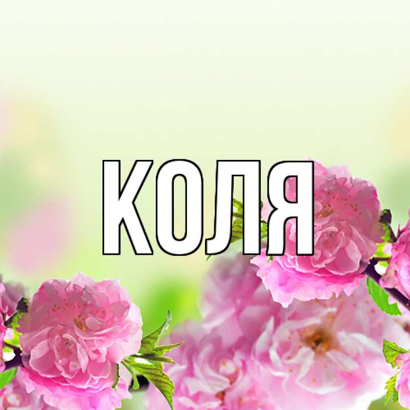 Картинка  с именем , коля