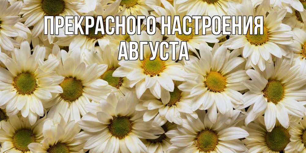 Открытка  с именем. Августа, Прекрасного настроения  