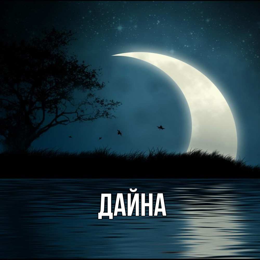 Открытка  с именем. Дайна, Главная  