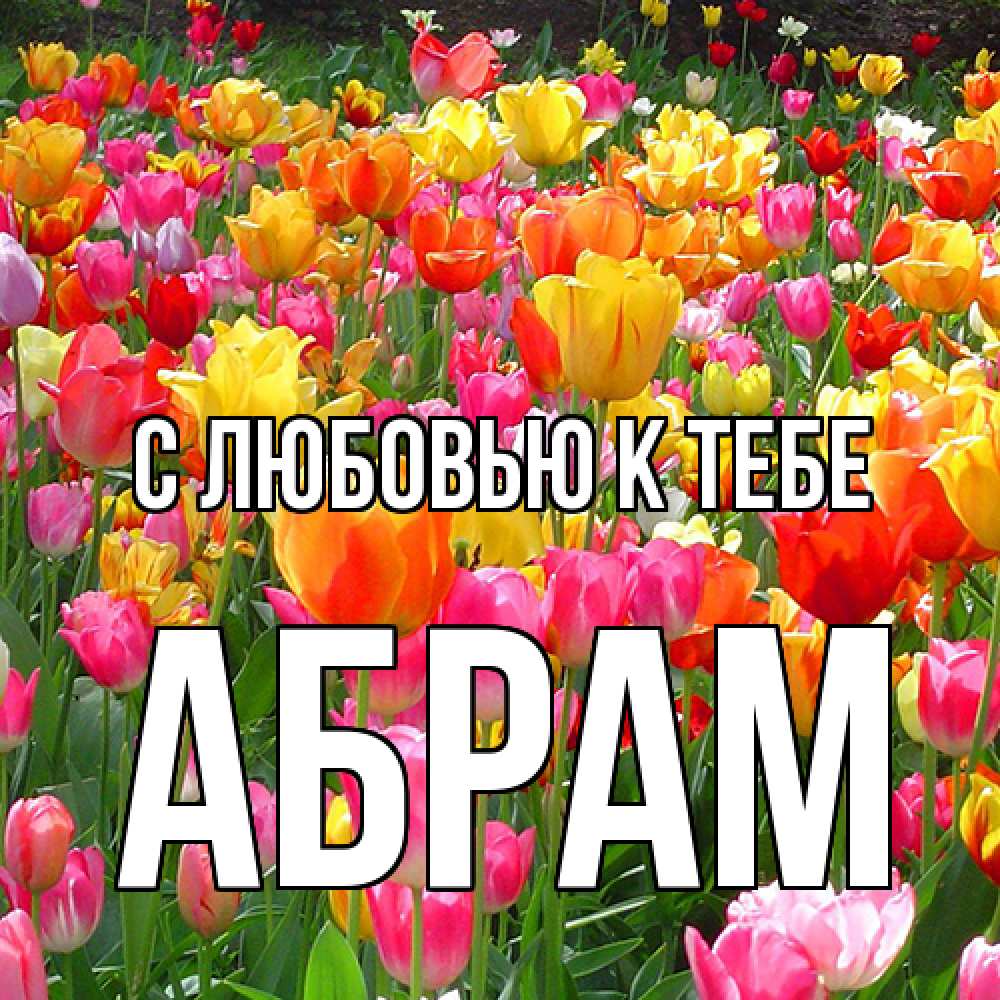 Открытка  с именем. Абрам, С любовью к тебе  