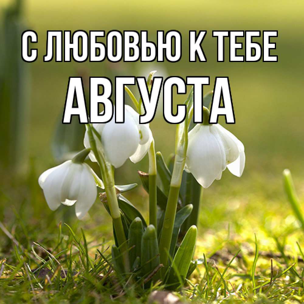 Открытка  с именем. Августа, С любовью к тебе  