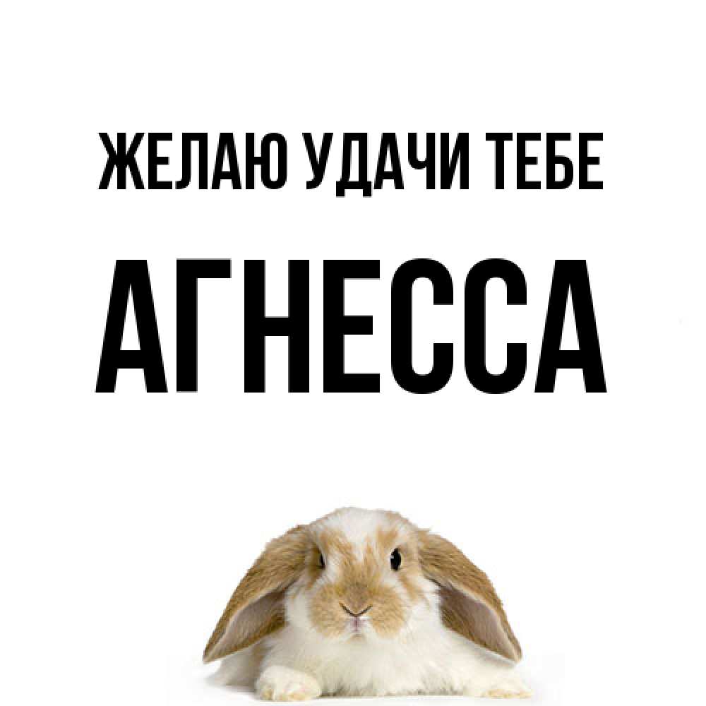 Открытка  с именем. Агнесса, Желаю удачи тебе  