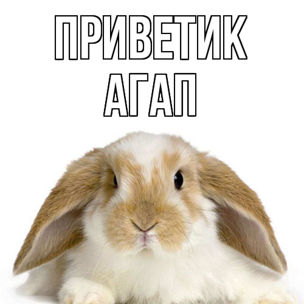 Открытка  с именем. Агап, приветик  