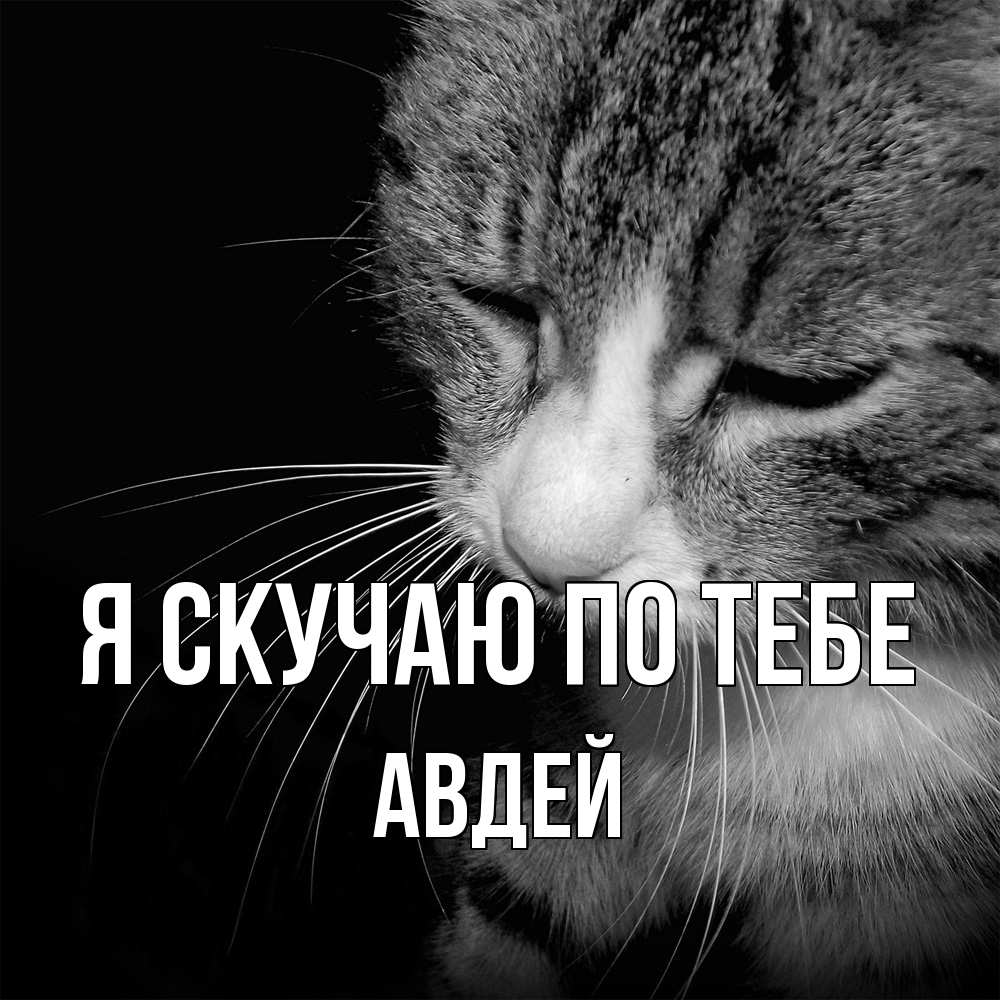 Открытка  с именем. Авдей, Я скучаю по тебе  