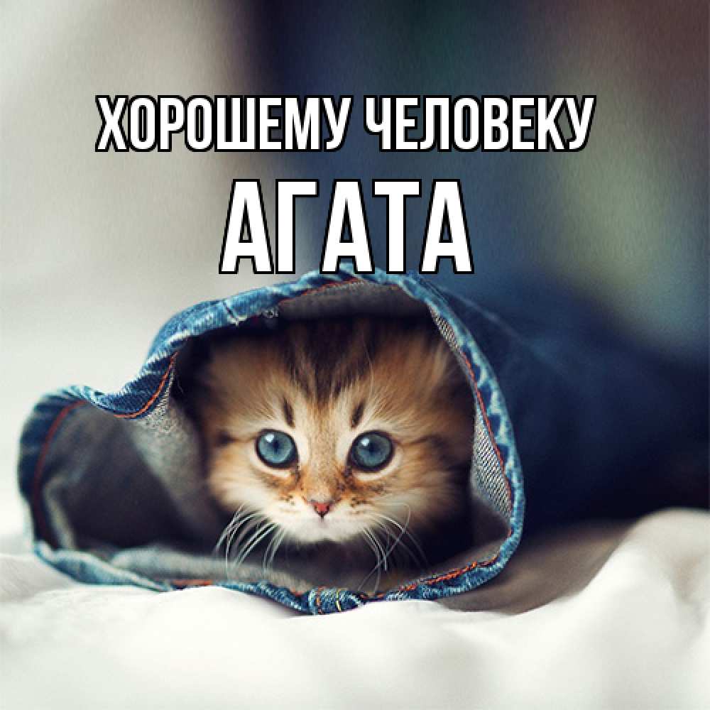 Открытка  с именем. Агата, Хорошему человеку  
