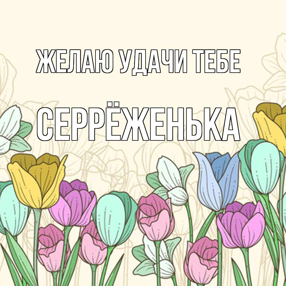 Открытка  с именем. Серрёженька, Желаю удачи тебе  