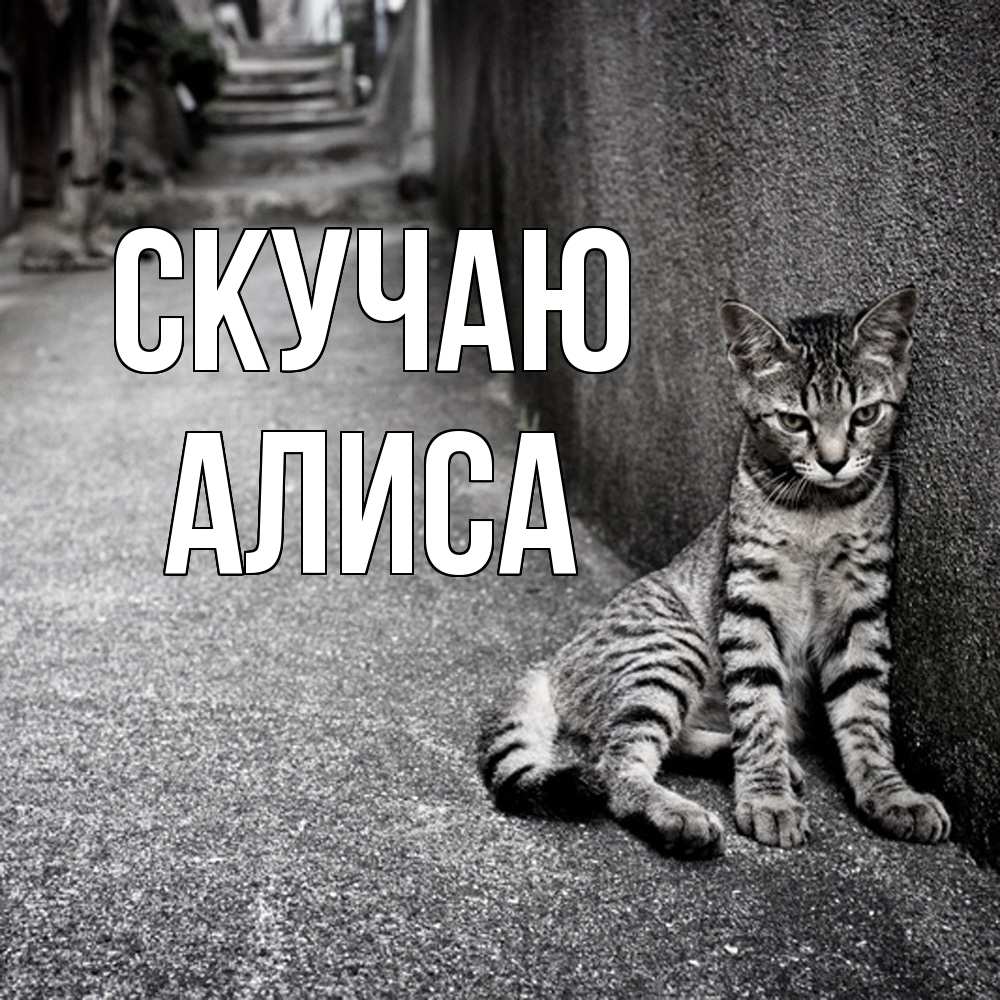Открытка  с именем. Алиса, Скучаю  
