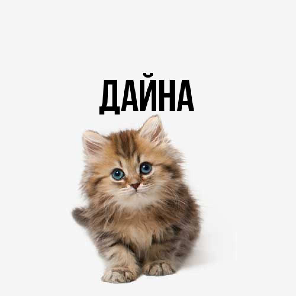 Открытка  с именем. Дайна, Главная  