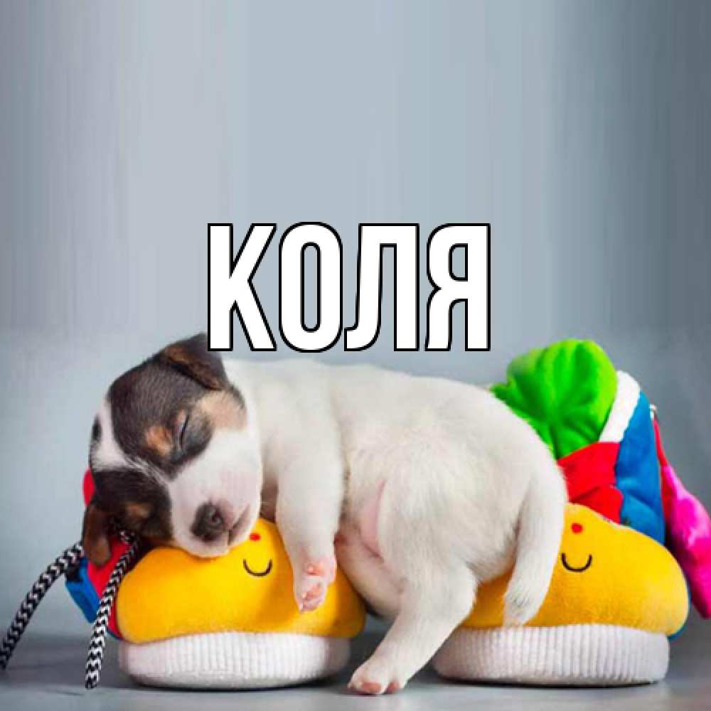 Открытка  с именем. коля, Главная  