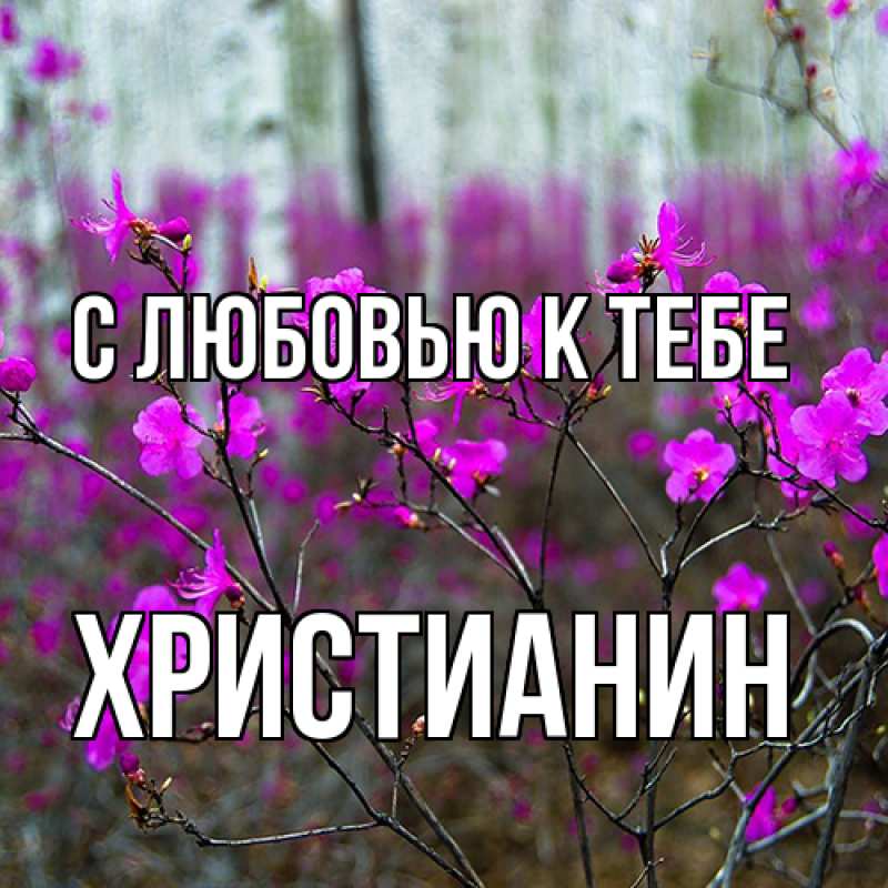Картинка С любовью к тебе, Христианин
