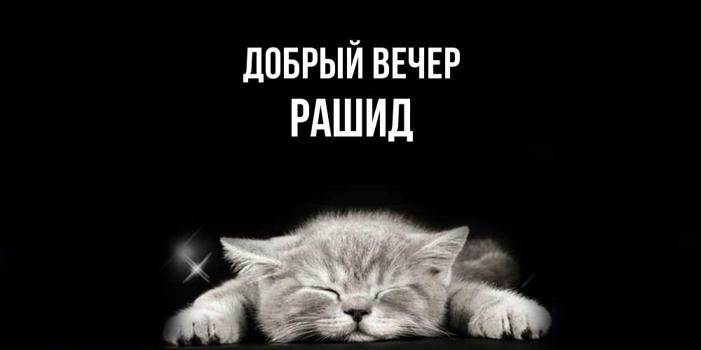 Открытка  с именем. Рашид, Добрый вечер  