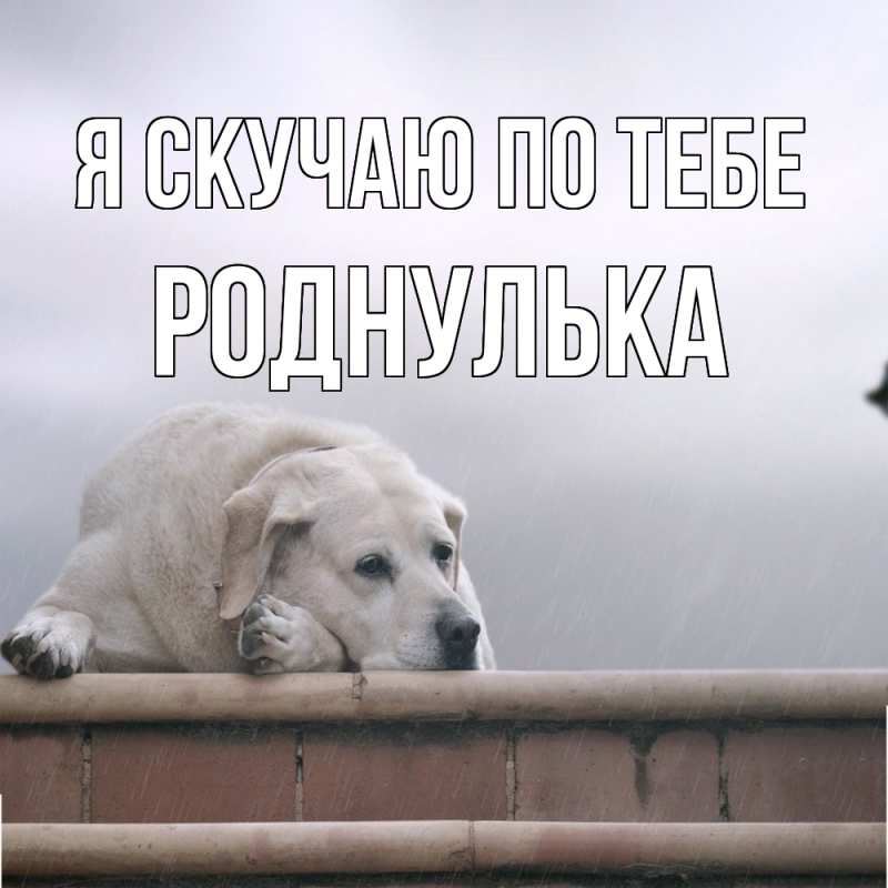 Картинка Я скучаю по тебе, роднулька