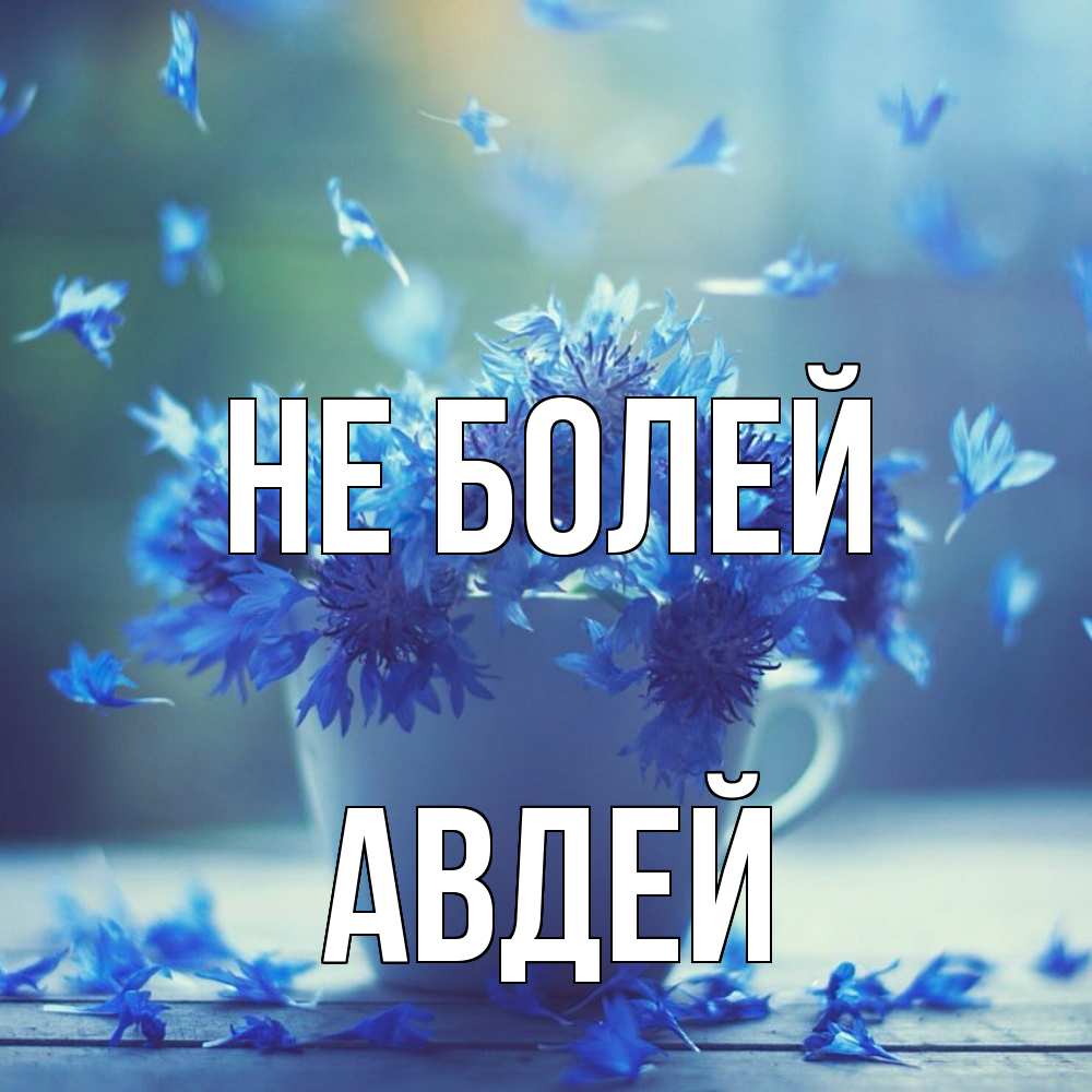 Открытка  с именем. Авдей, Не болей  