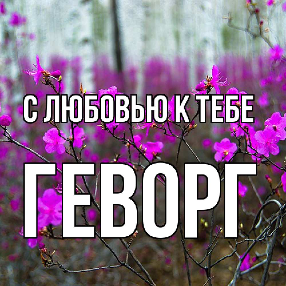 Открытка  с именем. Геворг, С любовью к тебе  
