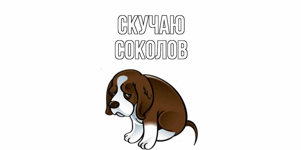 Открытка  с именем. Соколов, Скучаю  