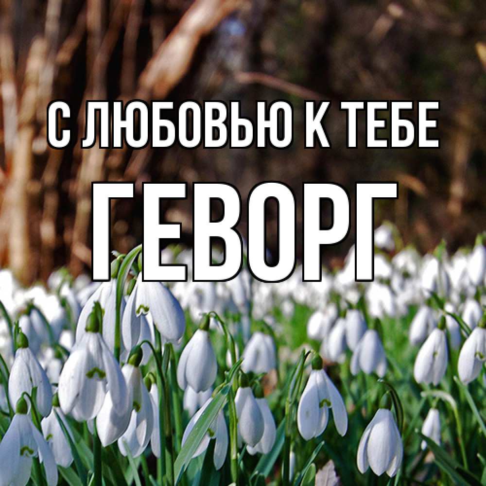 Открытка  с именем. Геворг, С любовью к тебе  