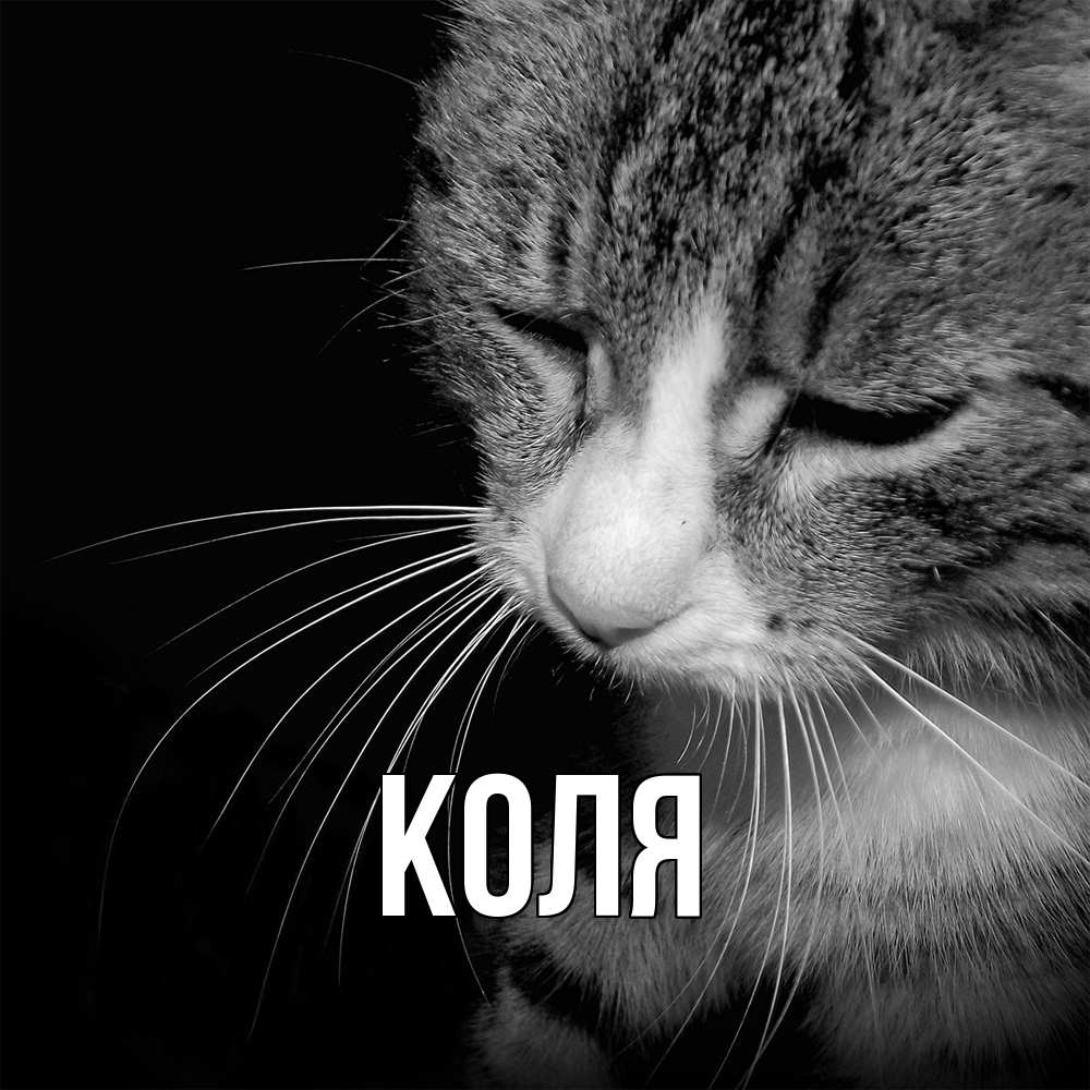 Открытка  с именем. коля, Главная  