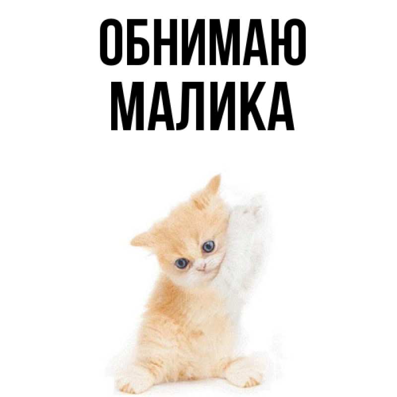 Картинка Обнимаю, Малика