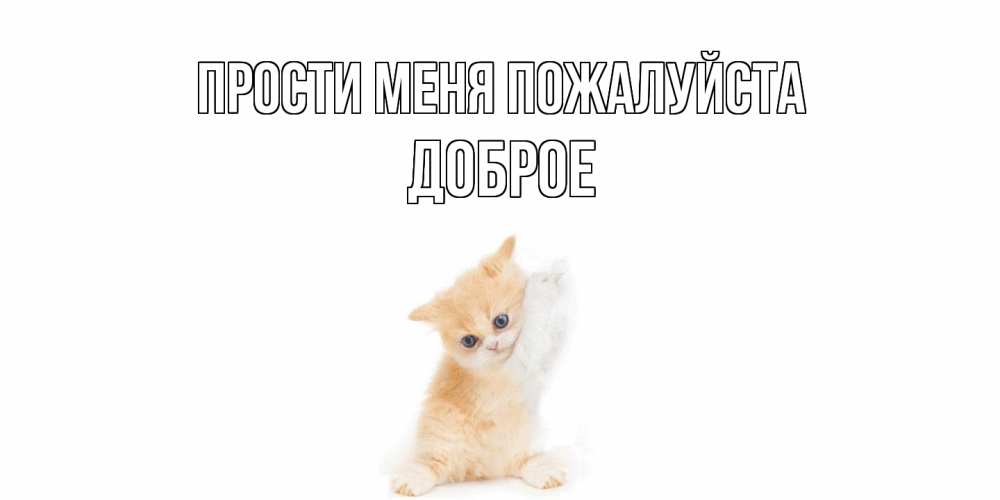 Открытка  с именем. Доброе, Прости меня пожалуйста  