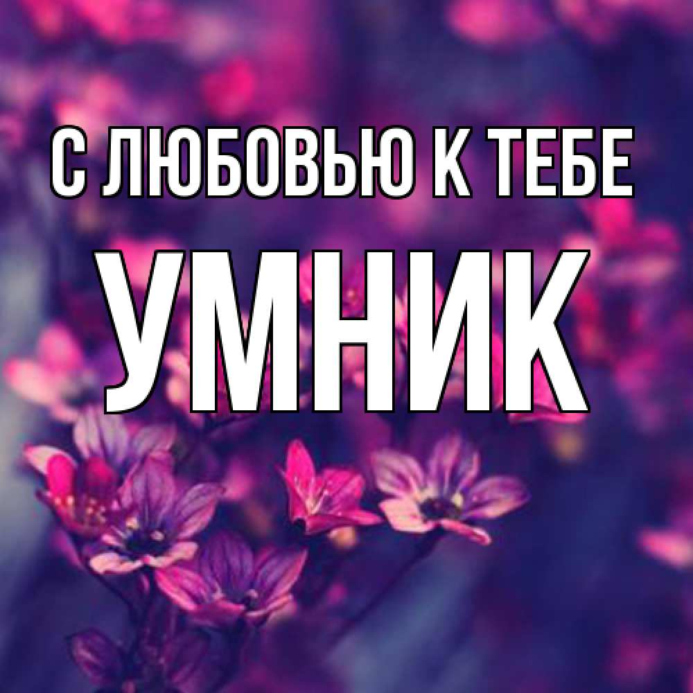 Открытка  с именем. Умник, С любовью к тебе  