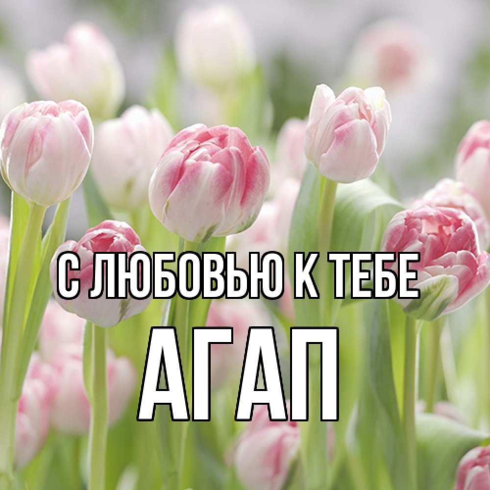 Открытка  с именем. Агап, С любовью к тебе  