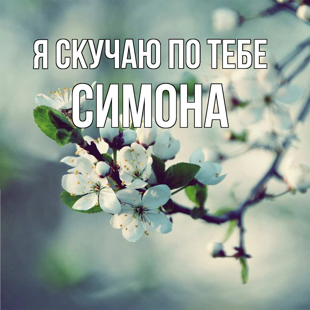 Открытка  с именем. Симона, Я скучаю по тебе  