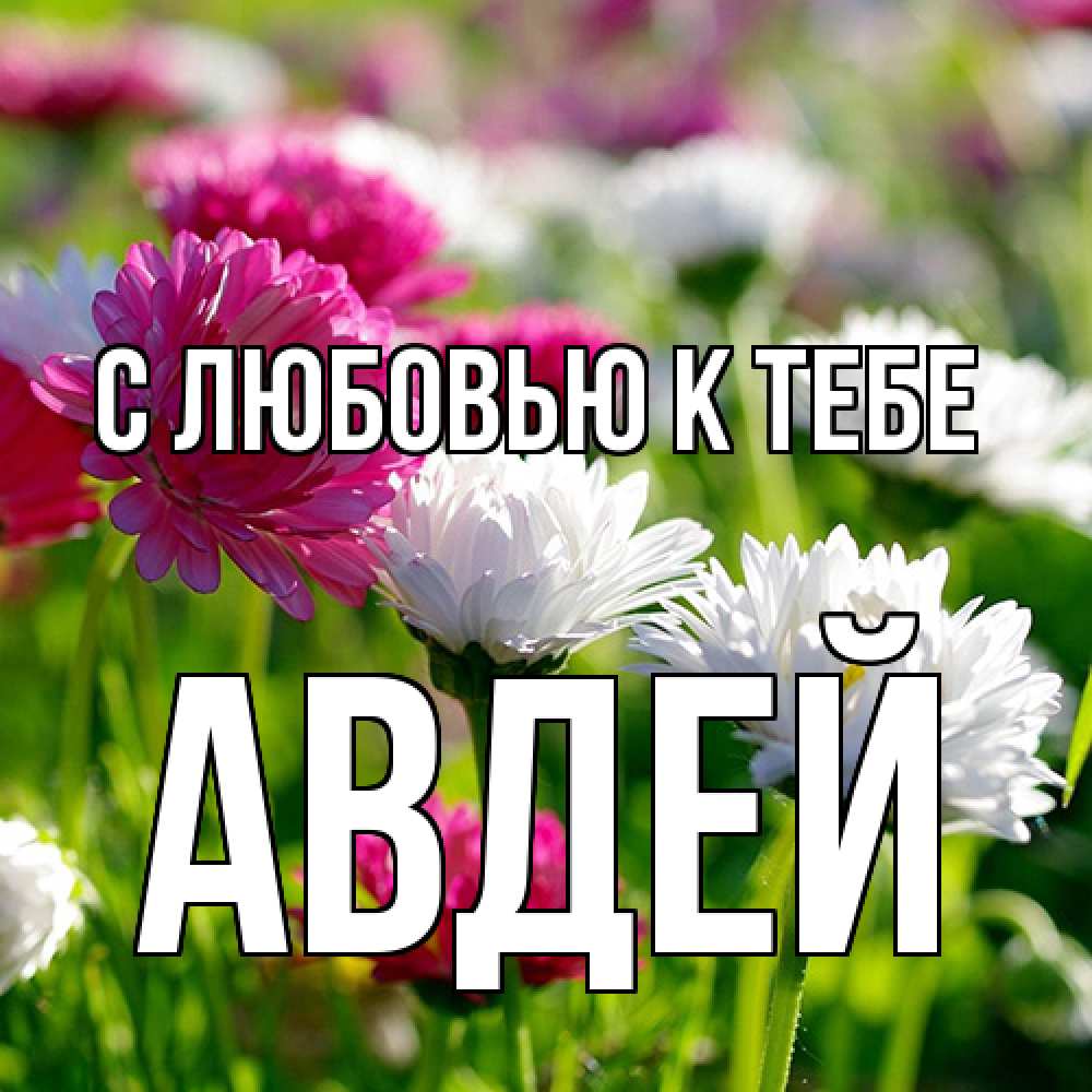 Открытка  с именем. Авдей, С любовью к тебе  