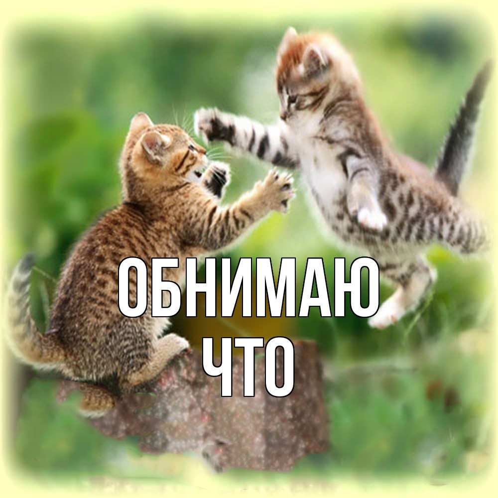 Открытка  с именем. Что, Обнимаю  
