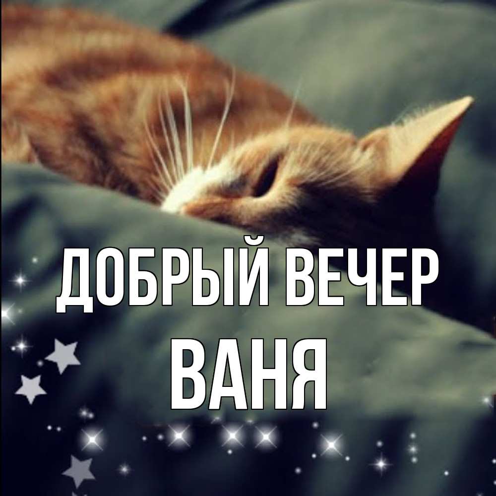 Открытка  с именем. ваня, Добрый вечер  
