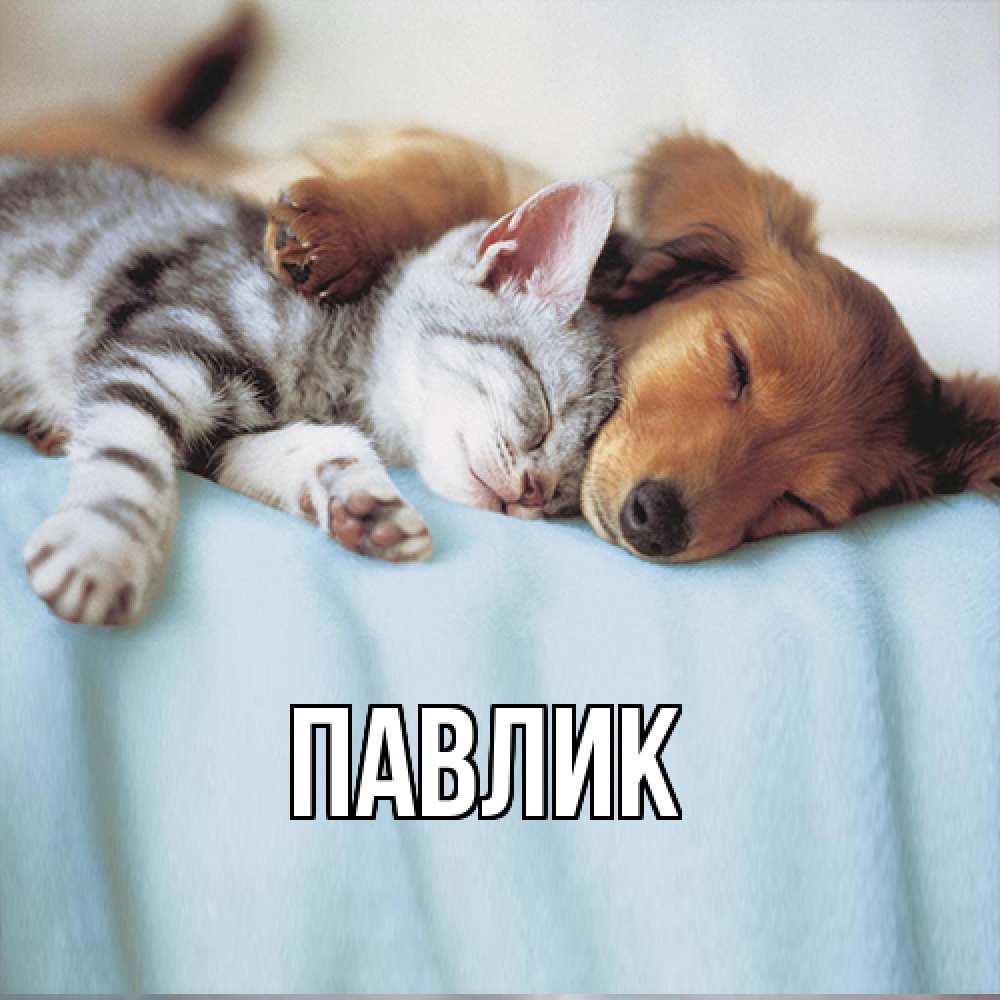 Открытка  с именем. Павлик, Главная  
